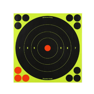 The Birchwood Casey Shoot-N-C Bullseye Target is designed with black bullseye target on neon green background to offer perfect focus. It provides an incredibly long range sighting with the aid of hits which are highlighted by neon green "halo". This target comprises of 228 pasters to outspread the target life.